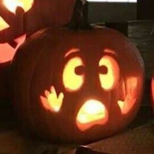 Meet your Posher, Maggie